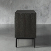 Simplicity Two Door Cabinet 